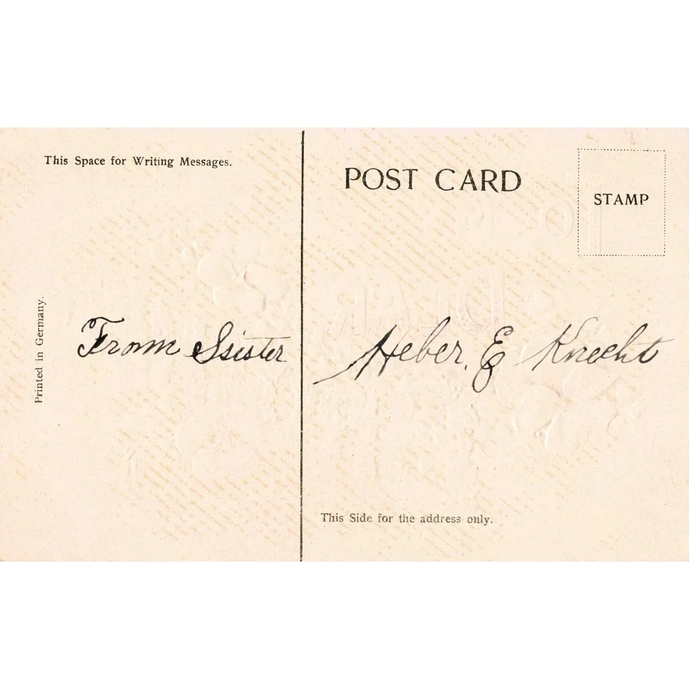 To My Dear Brother Antique Embossed Postcard Pansies Holly Floral Greeting c1910